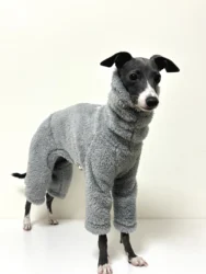 Abrigo gris para galgo italiano y whippet - lana con cuello alto