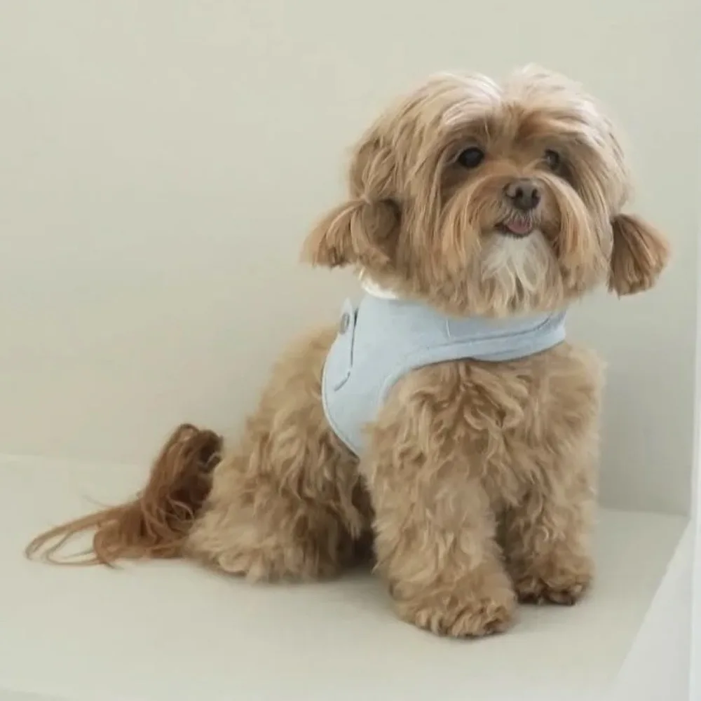 Arnés con capucha para otoño e invierno para mascotas, correa vaquera para el pecho para perros y gatos, chaleco de peluche con sombrero, arnés para perros, accesorios para cachorros - imagen 2