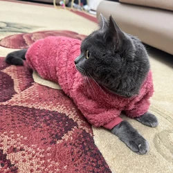 Mono forro polar para gato Sphynx y perros sin pelo – Overol invierno