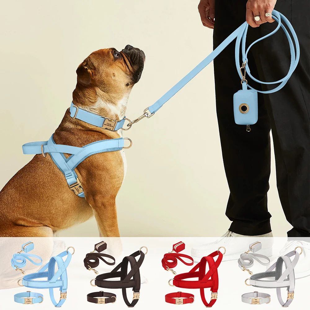 Arnés de Collar para perro, conjunto de bolsa con correa, collares para perros personalizados gratis, arnés de Collar con hebilla grabada para mascotas con bolsas de residuos de cuerda de plomo para perros