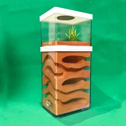 Hormiguero ecológico de yeso para crear hormigas con humedad
