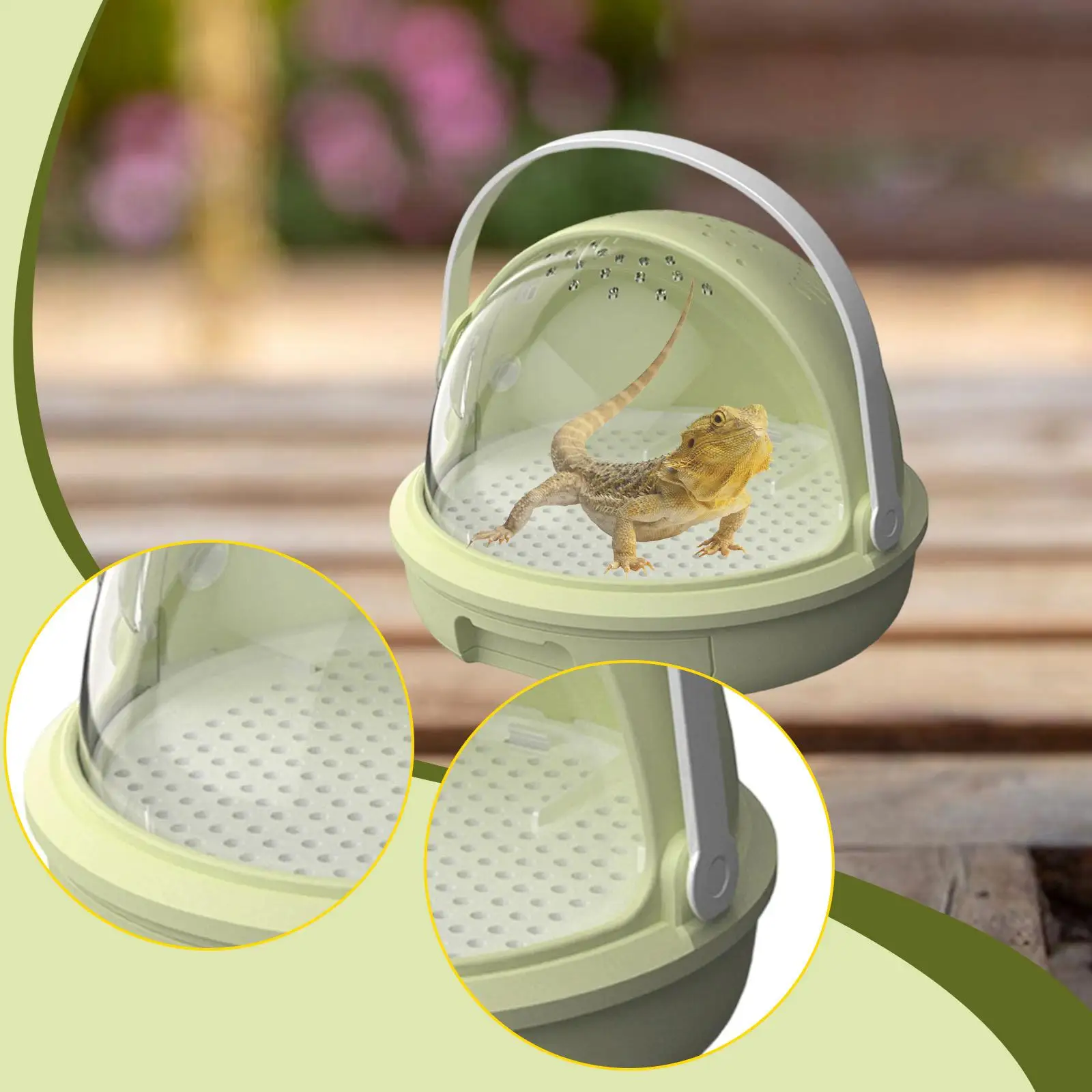 Reptile Feeding Box Spacious Gifts Ventilated Multi Purpose Display Box Tarantula Enclosure Terrarium Cage for Invertebrates