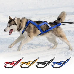 Arnés reflectante impermeable para perro grande – Entrenamiento y trineo