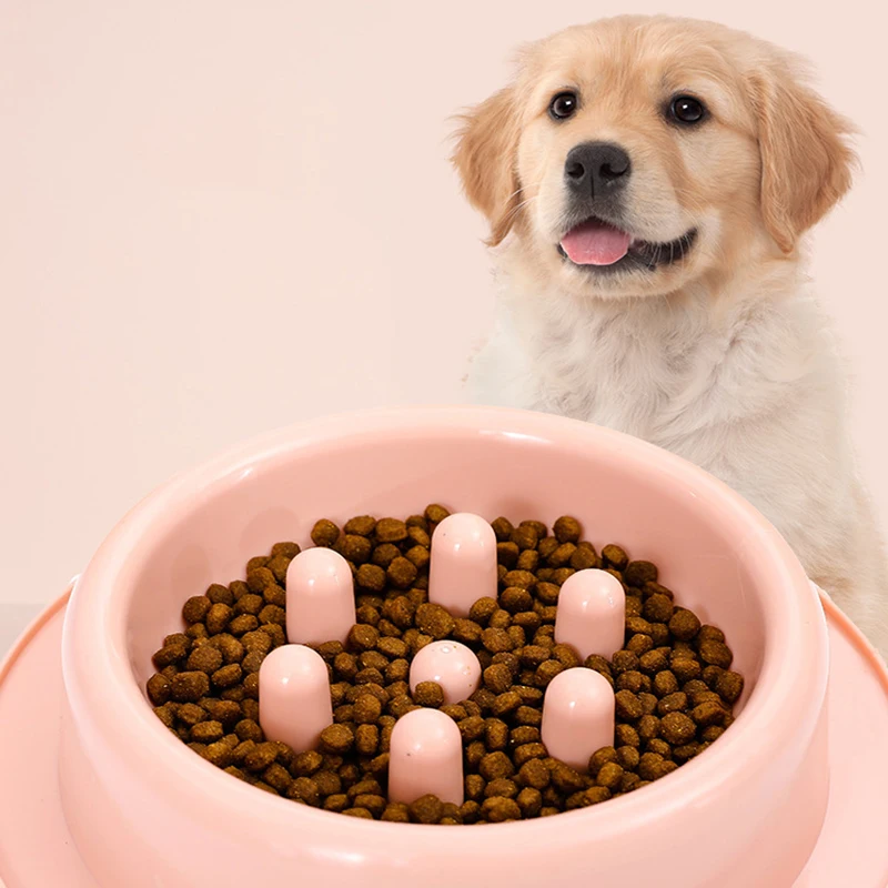Nuevo cuenco de comida lenta para mascotas, cuenco de comida antiasfixia, cuenco grueso para gatos, cuenco para perros, cuenco de comida para perros antigolpes, suministros para mascotas - imagen 2
