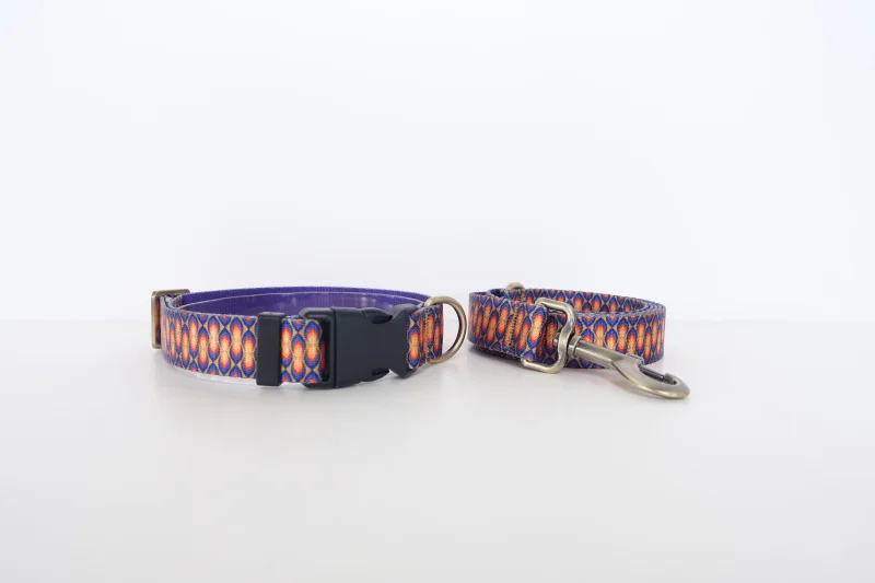 Collar y correa PLATTCO con diseño llama de vela