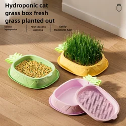 Macetero hidropónico para cultivar hierba para gatos – Bandeja germinación