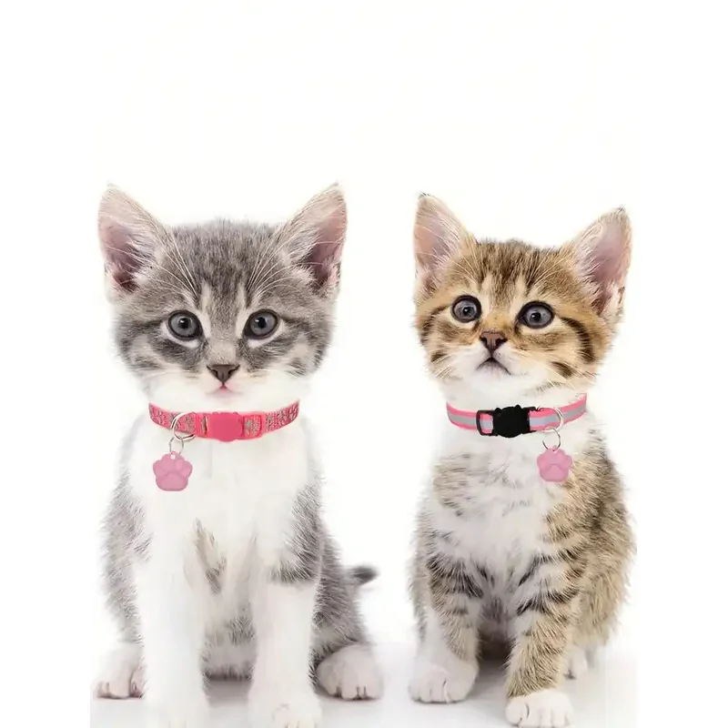 Etiqueta de identificación de gato con pata personalizada, grabada con nombre de mascota, placa de identificación personalizada para evitar pérdidas, adecuada para perros pequeños y gatos, 1 ud. - imagen 4