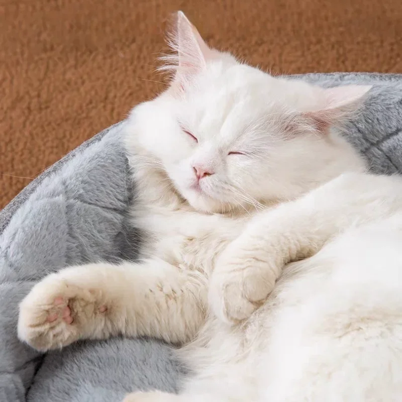 Cama bonita para gatos, casa para perros, Villa de invierno para gatos, perrera para dormir, nido cálido extraíble, tiendas cerradas, sofá cueva, suministros para mascotas, accesorio - imagen 4