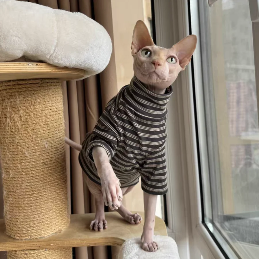 Camisa de algodón grueso gris oscuro de cuello alto para gato Abrigo de rayas suaves y cálidas de invierno para mono abisinio Sphynx Cat Otoño Primavera - imagen 2