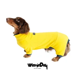 Camiseta de cachemira para perro dachshund – Manga larga amarilla