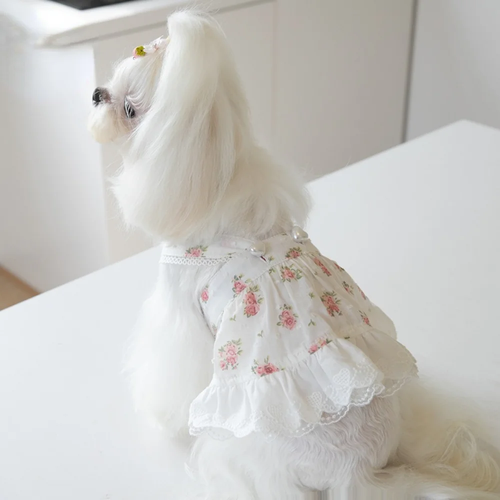 Falda pequeña de encaje con estampado de flores para mascotas, ropa de peluche para perros y gatos, cinturón bonito, vestido para cachorros, ropa para perros