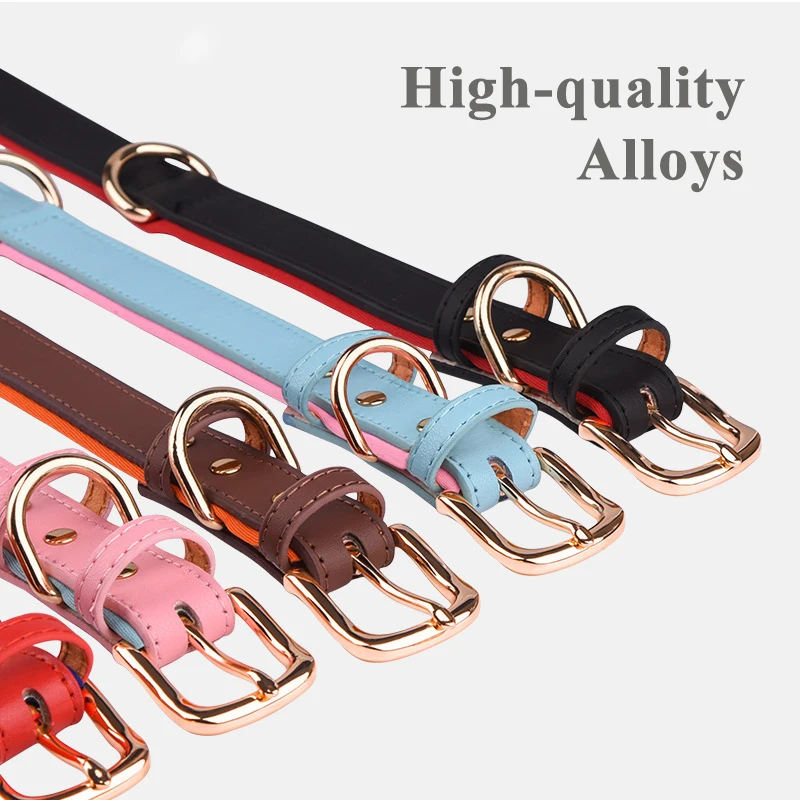 Collar personalizado para perro, etiqueta de identificación antipérdida para mascotas pequeñas, medianas y grandes, ajustable, grabado de nombre - imagen 2
