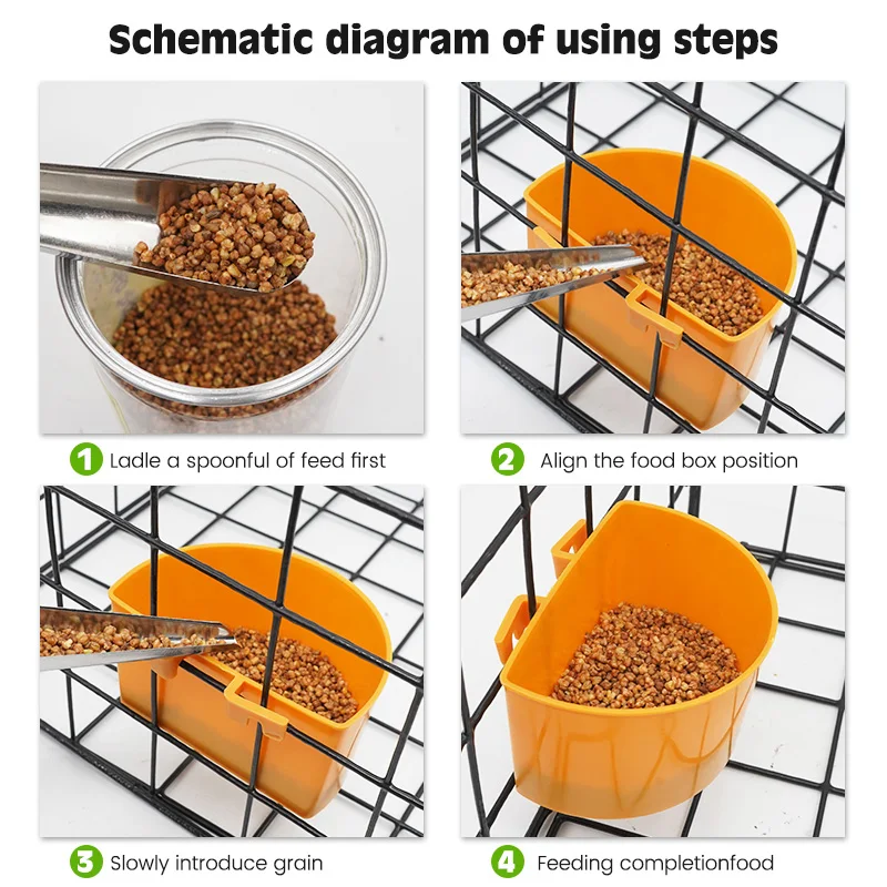 Cuchara de acero inoxidable para alimentación de aves y mascotas, contenedor de semillas, alimentador de loro, suministros de alimentación de peonía - imagen 5
