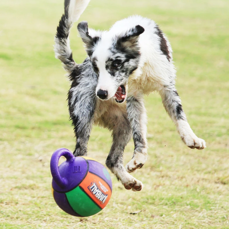 Bola grande resistente a mordeduras para perros, Golden Retriever, Labrador, Alaska, juguete para mascotas, productos para mascotas, juguetes para perros - imagen 5