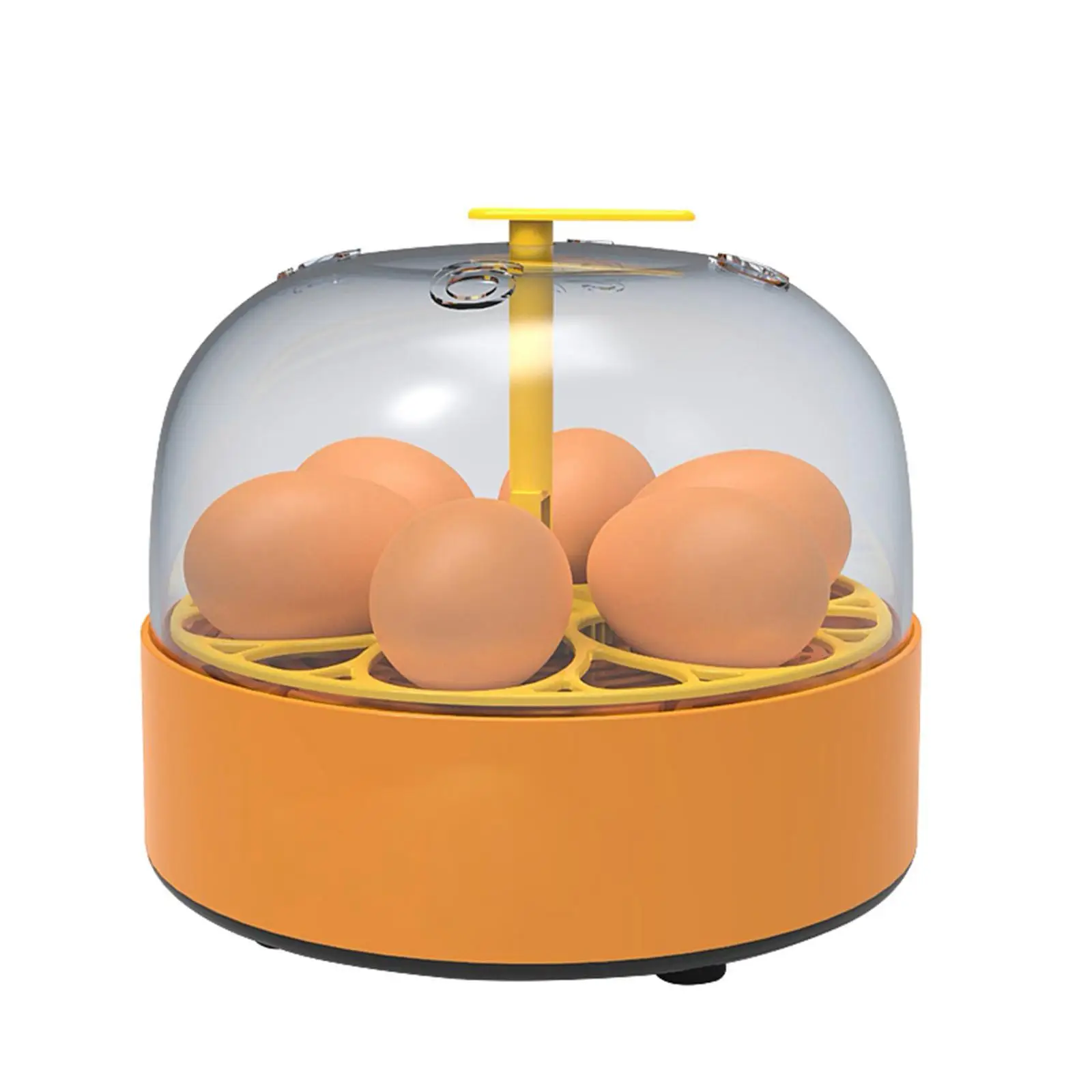 Egg Incubator AU Plug Chicken Hatching Machine for Duck Eggs Family Chicken