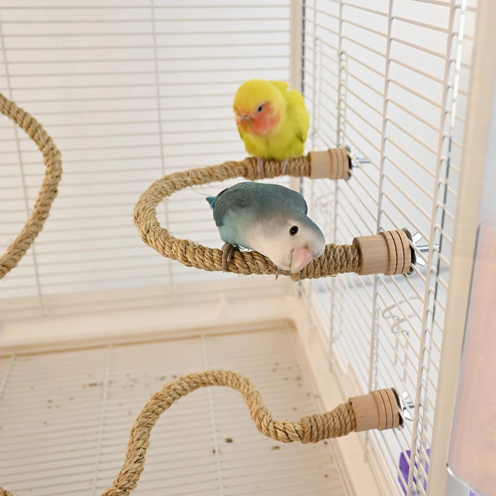 Cuerda de escalada para aves: entretenimiento de loros domésticos - imagen 5