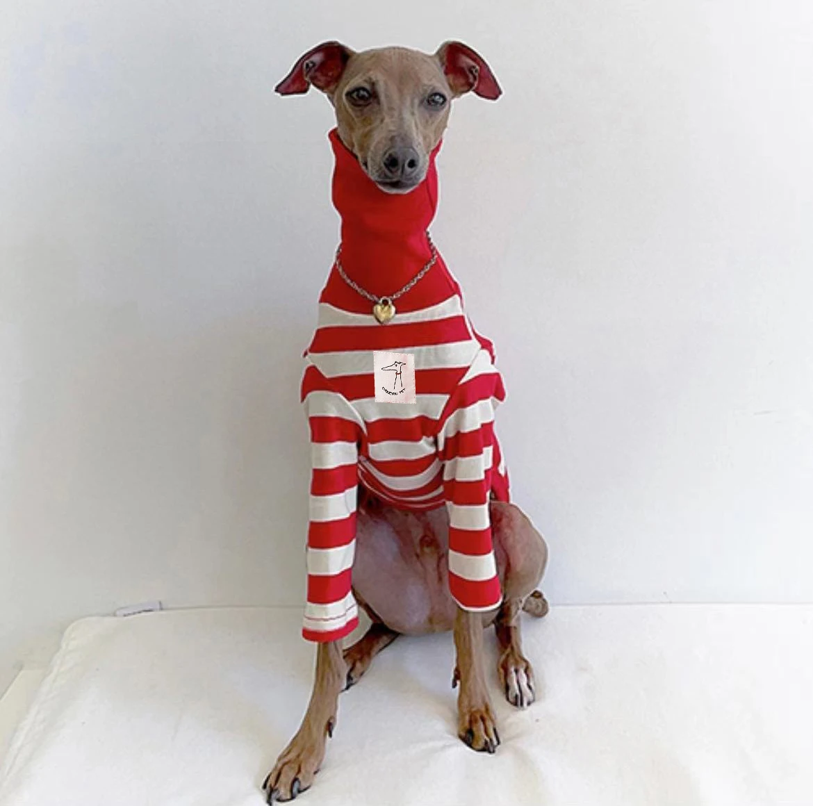 Ropa bonita de cuello alto con bloques de colores para galgo italiano, ropa elástica de algodón para cachorros, ropa mediana para perros Whippet/Bellington - imagen 4