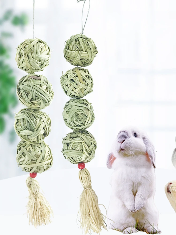 Conejillo de indias usando el juguete masticador