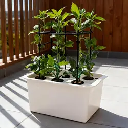 Caja de cultivo hidropónico con aireación mejorada para huerto en casa