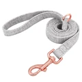 Grey Leash