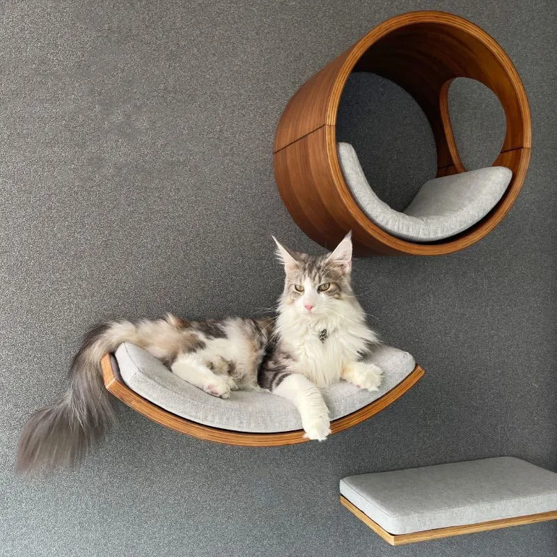 Torre de árbol de madera para gatos, estantes de escalada montados en la pared para gatos, hamaca, escaleras, casa, gatos, paseo, parque infantil, muebles para mascotas, accesorios - imagen 2