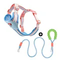 blue and Leash Set