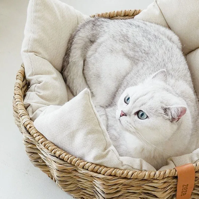 Camas grandes de ratán para gatos, cesta impermeable, comodidad para las cuatro estaciones, casas y Habitats, accesorios para mascotas, suministros de entrenamiento - imagen 4