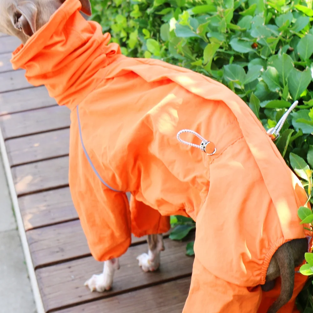 Chaqueta naranja de cuello alto ajustable a prueba de viento de verano para galgo italiano, impermeable de primavera con cremallera en la espalda para Whippet - imagen 3