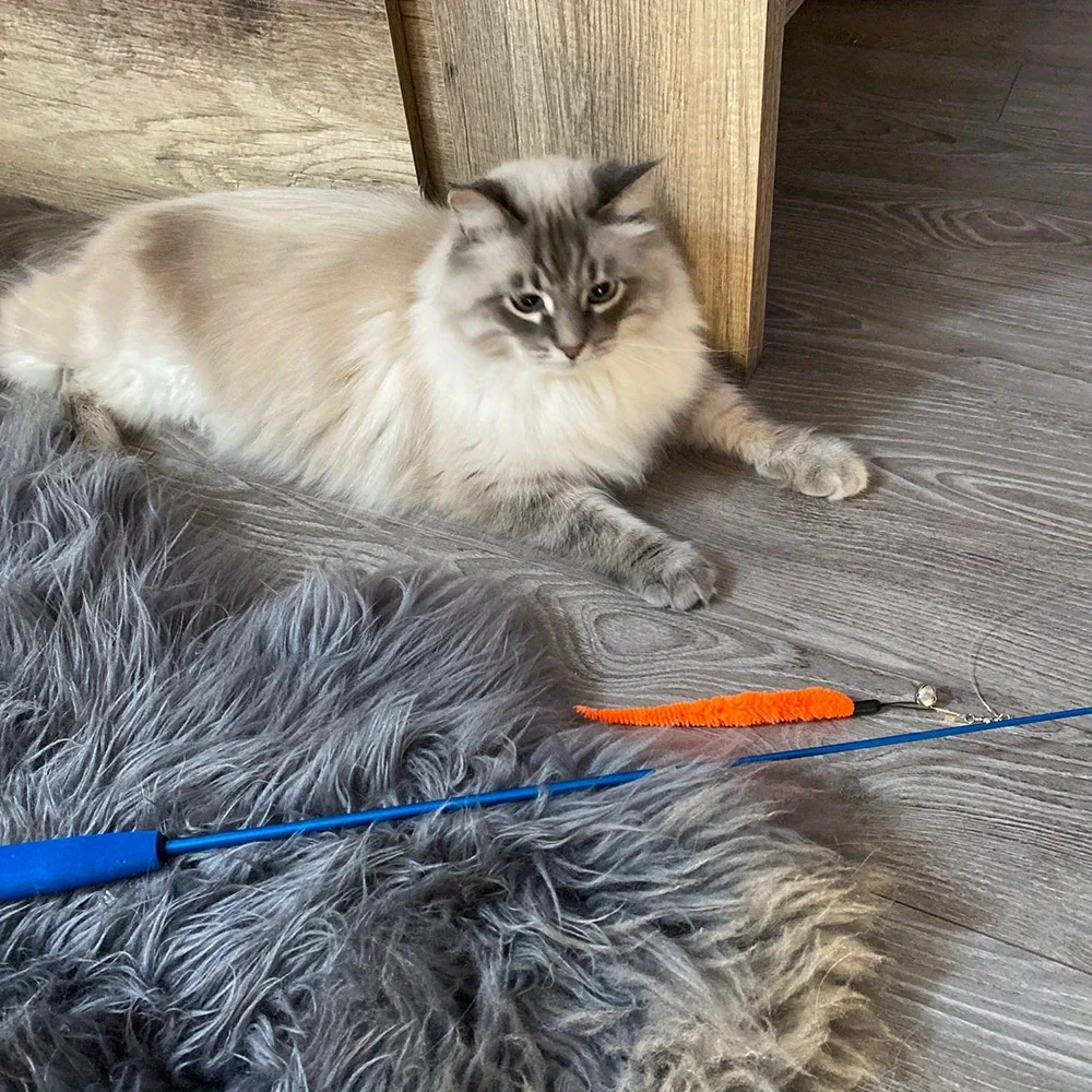 Paquete de 11 juegos de juguetes para gatos, varita de juguete retráctil, juguetes de plumas para gatos y recambios de repuesto con campanas, juguetes interactivos para gatos - imagen 5
