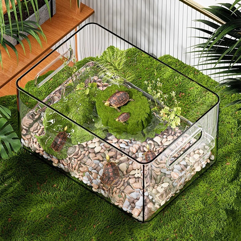 Caja de hábitat de tortuga terrestre acuática transparente, caja de tanques de peces para reptiles, anfibios, suministros para mascotas, 1 ud. - imagen 2