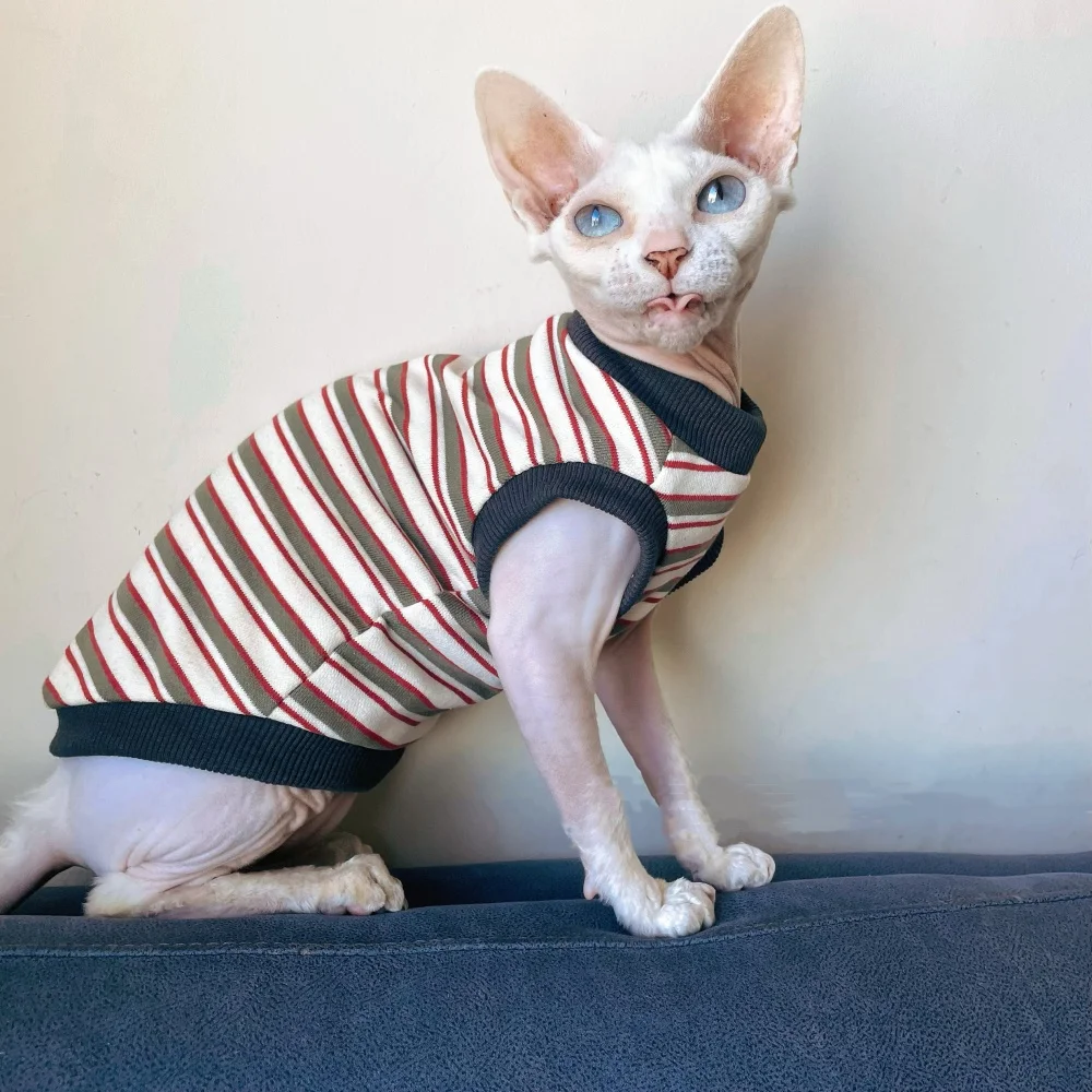 Ropa para gatos Sphynx camiseta de algodón primavera - verano chaleco a rayas para gatos masculinos Devon Rex elstic abrigo manga corta suave - imagen 4