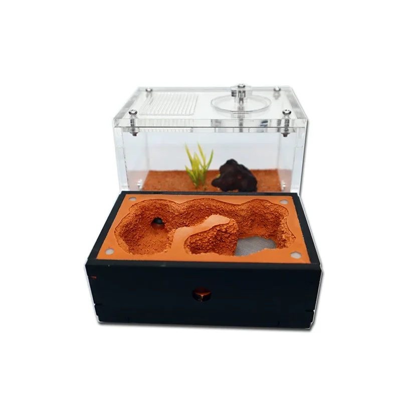 Granja de hormigas de Suelo amarillo, con torre de agua externa y área de basura, Reina, área de cría, nido de hormigero, Castillo de hormigero, caja de insectos - imagen 2