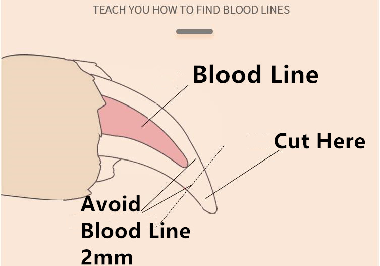 Cortaúñas en uso con gato - demostración