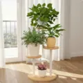 White Light Walnut