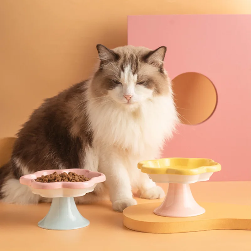 Cuenco de cerámica para gatos de patas altas, diseño de flores de macarrón elevado, plato de agua y comida para mascotas con Base antideslizante, alimentación cómoda
