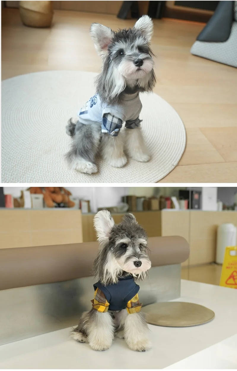 Perro de dos patas sudadera con capucha mascota caliente otoño invierno ropa perros pequeños chaqueta abrigo ropa para clima frío caniche maltés - imagen 4