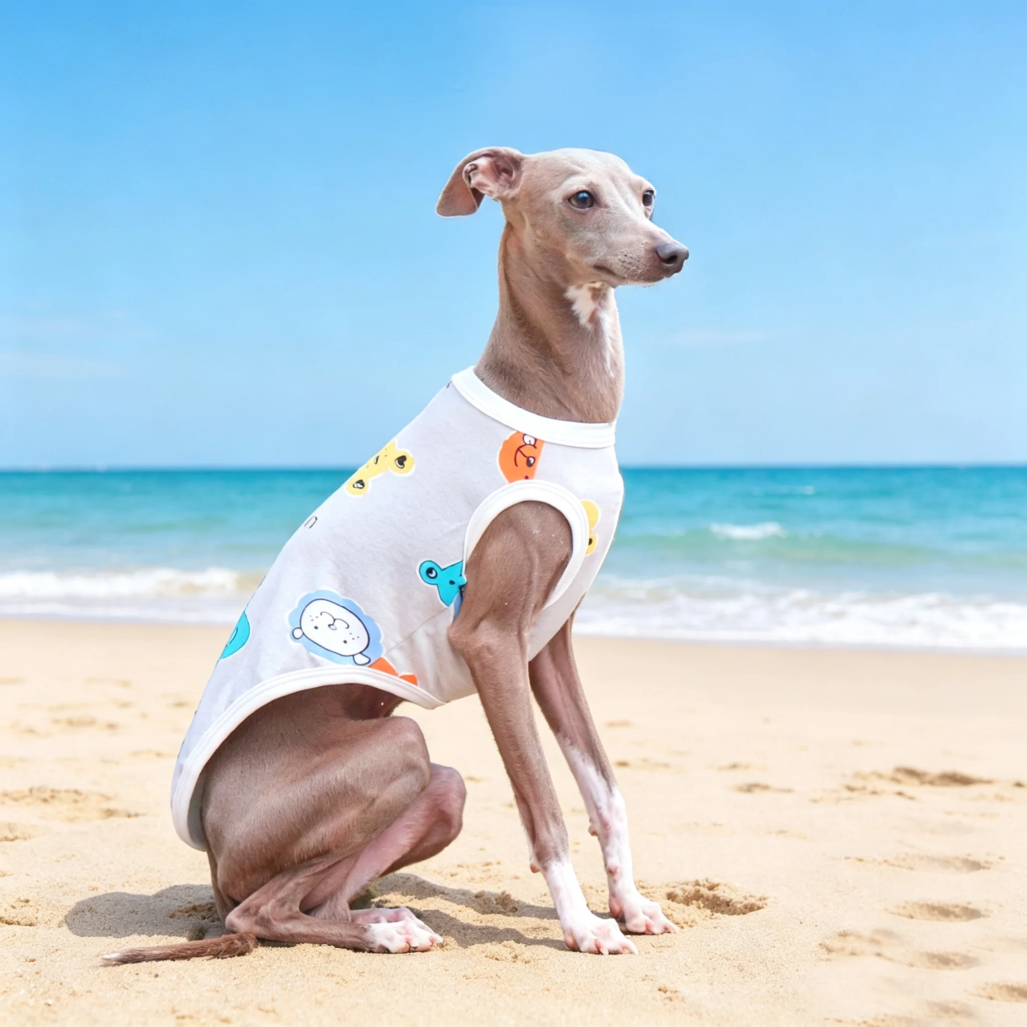 Chaleco de algodón con protección solar para Galgo y Whippet - imagen 4
