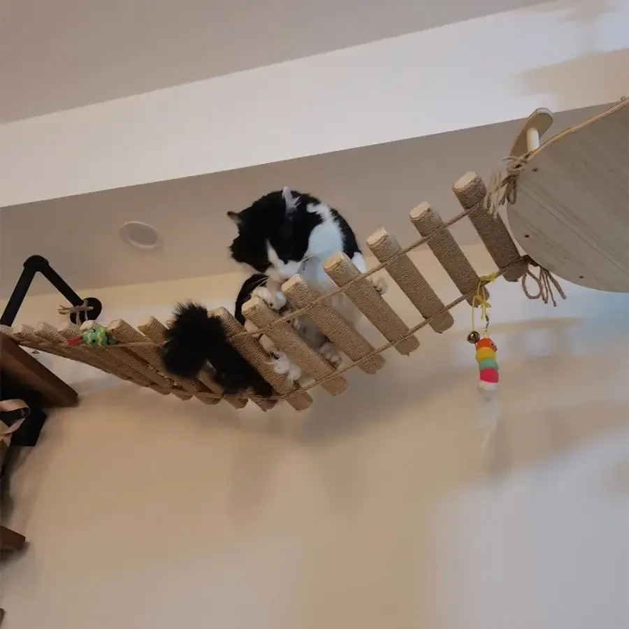 Marco de escalada para gatos montado en la pared, poste rascador de madera para gatos, hamaca y caja de arena para gatitos, perca, puente para gatos durmientes - imagen 2