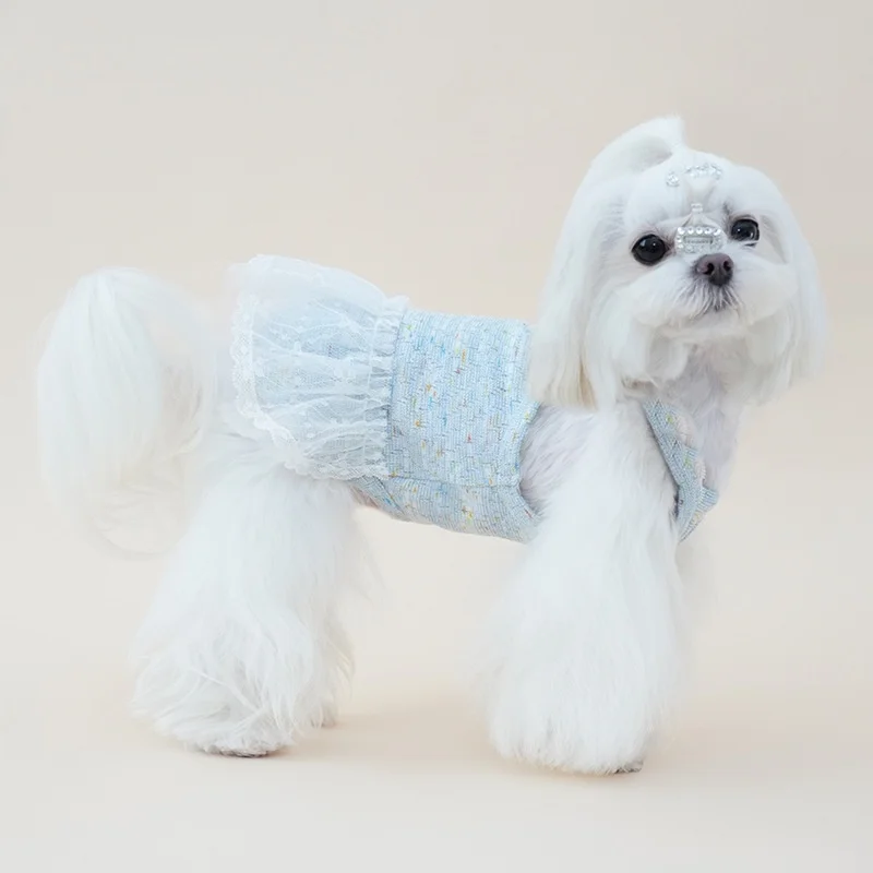 Vestido tutú con encaje para perros Maltese, Chihuahua y Yorkie