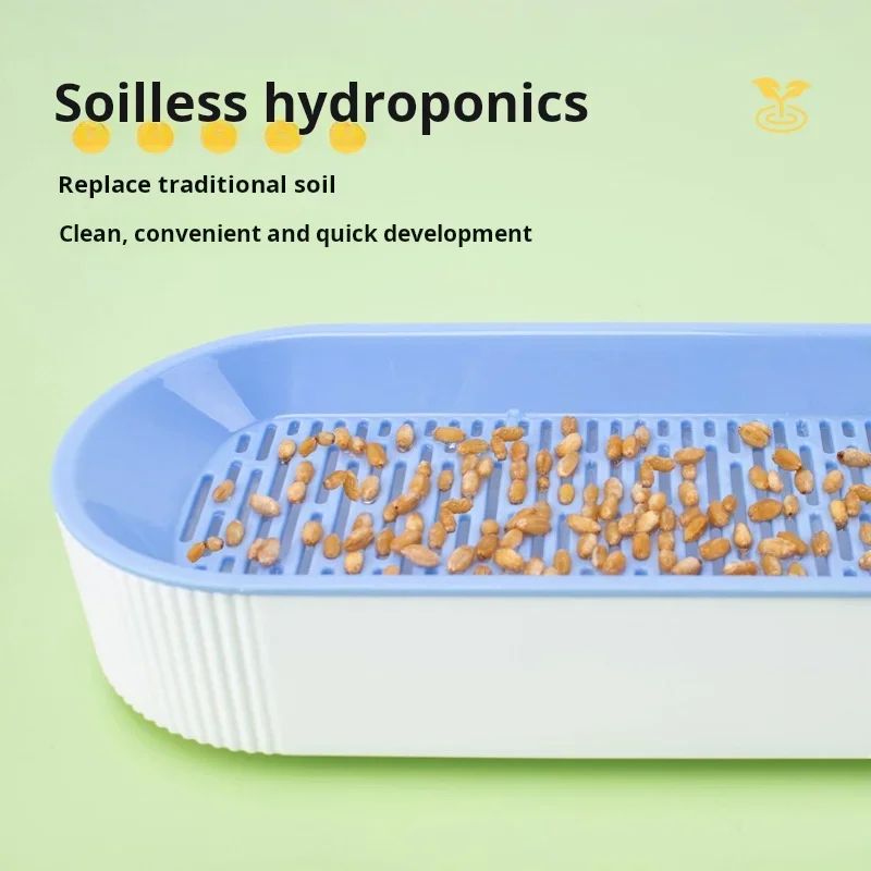 Caja de hierba hidropónica para gatos, golosinas para gatos, hierba gatera, plantación hidropónica sin suelo, juego de macetas de hierba para gatos para un fácil crecimiento - imagen 5