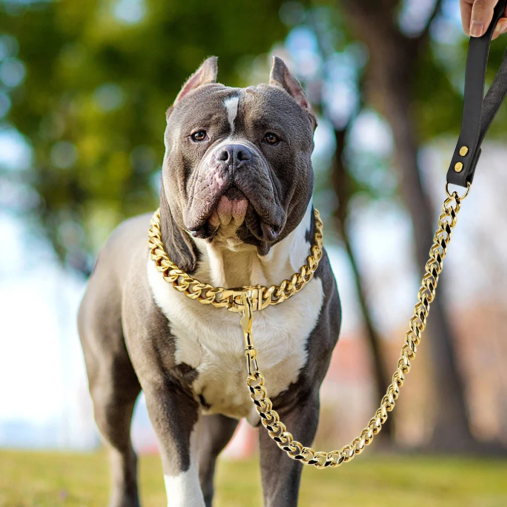 Collar resistente de acero inoxidable para Bulldog y Pitbull - imagen 2