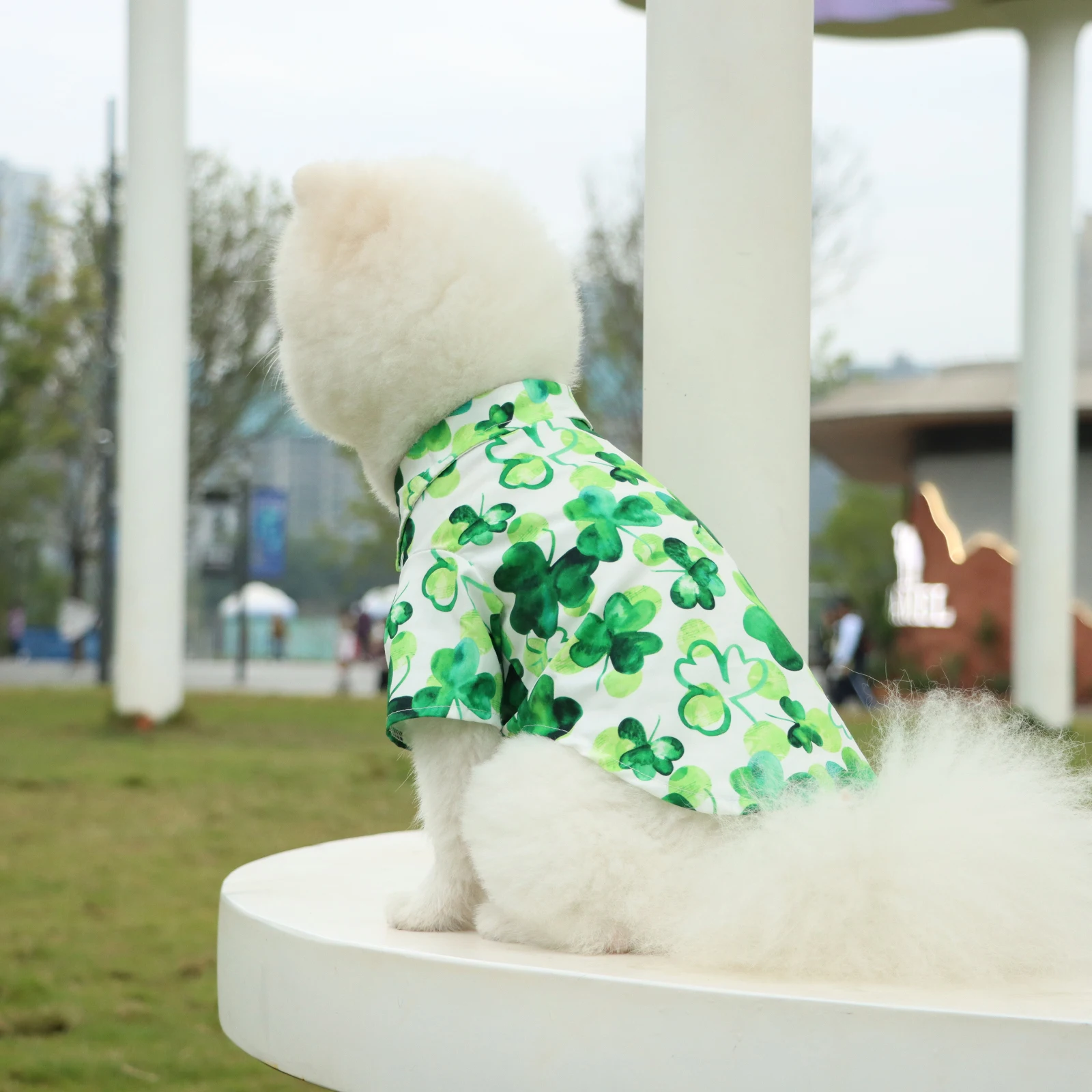 "Ropa para mascotas, camisa para perros, divertida camisa de trébol, disfraz bonito para cachorros, ropa para perros pequeños y medianos, gatitos, gatos, mascotas para Da de San Patricio