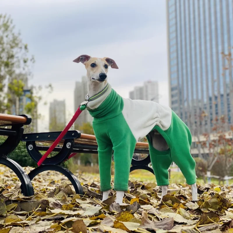 Italia galgo cálido verde 4 patas de cuello alto sudadera chaqueta de invierno abrigo para caniche Teddy otoño ropa de descanso suave para perros medianos