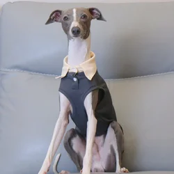Camiseta sin mangas de verano para Whippet - Polo de moda perro