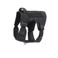Black Harness