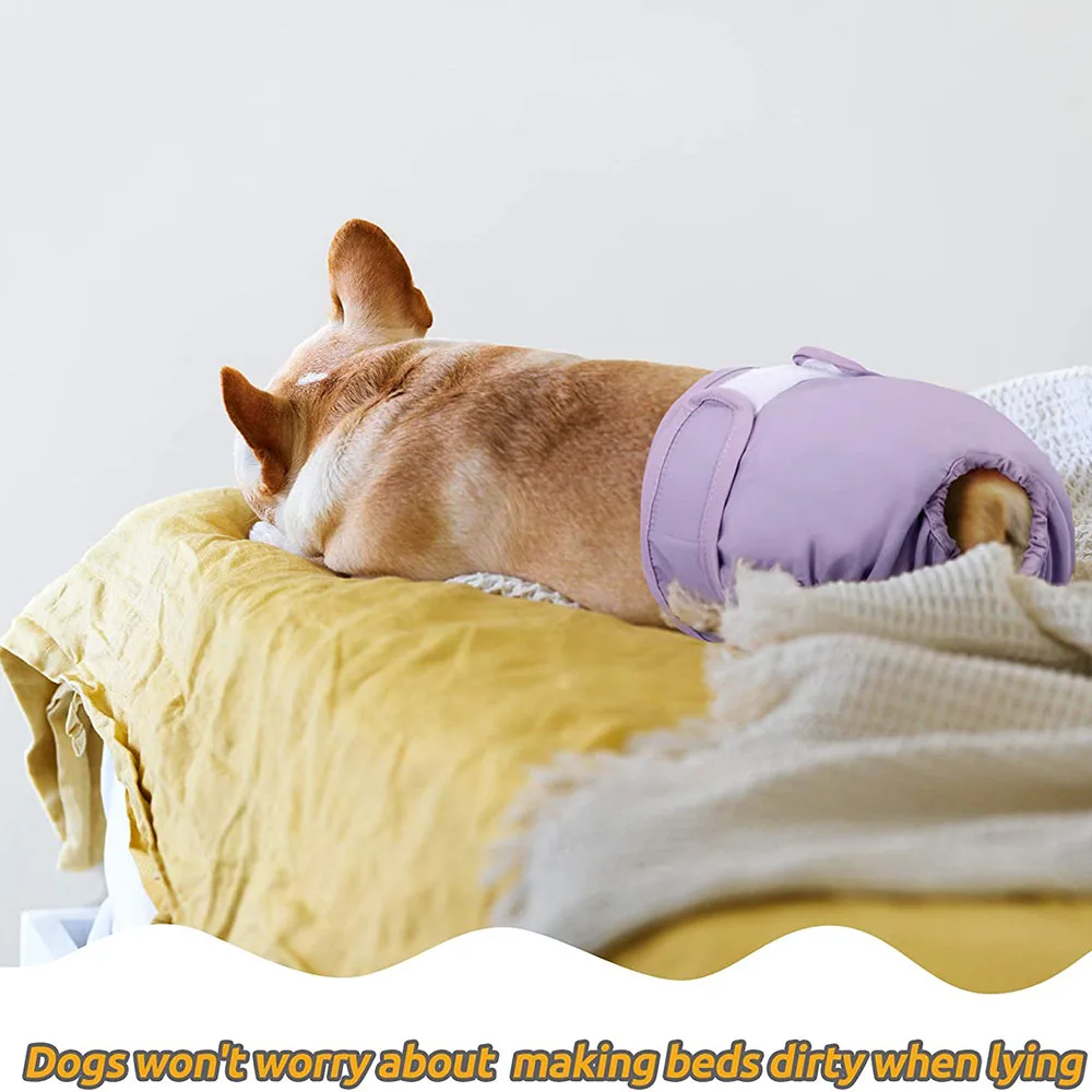 Pantalones cortos de pañales para perros para cachorros, pantalones fisiológicos sanitarios para perros grandes, bragas, ropa interior reutilizable ajustable para perros pequeños - imagen 4