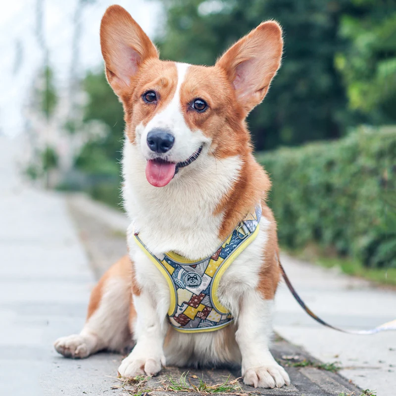 Arnés de chaleco para mascotas de lujo para perros pequeños y medianos, conjunto de arnés y correa de malla ajustable para cachorros, cadena para mascotas Shiba Inu - imagen 5