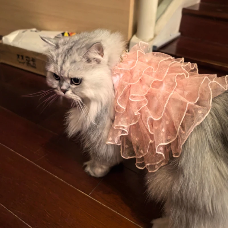Ropa para perros, vestido fino de princesa para gatos, vestido de novia de estrella de encaje, suministros para mascotas de peluche para perros pequeños - imagen 5