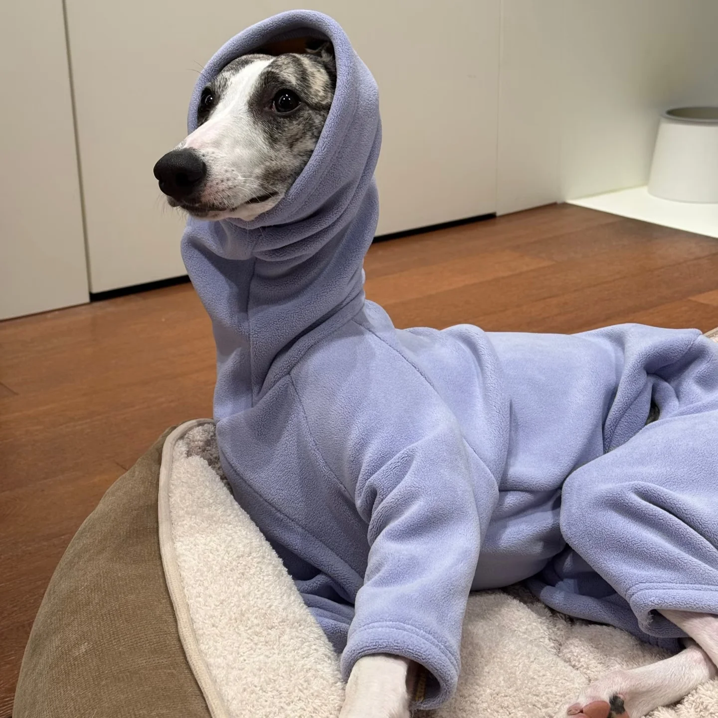 Abrigo de invierno para perros: sudadera de vellón púrpura Whippet - imagen 5