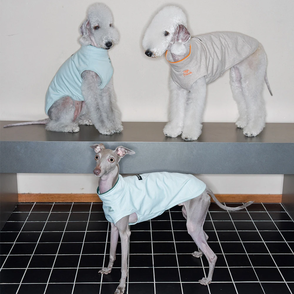 Chaleco antibacteriano para perros Galgo Italiano y Bedlington Terrier - imagen 3